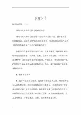 指标文件服务承诺模板_指标文号什么意思-第2张图片-马瑞范文网