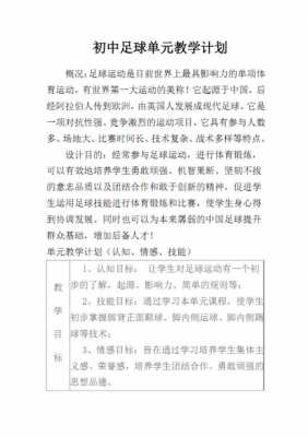 足球课教学工作计划-一节足球课的教学计划模板-第1张图片-马瑞范文网