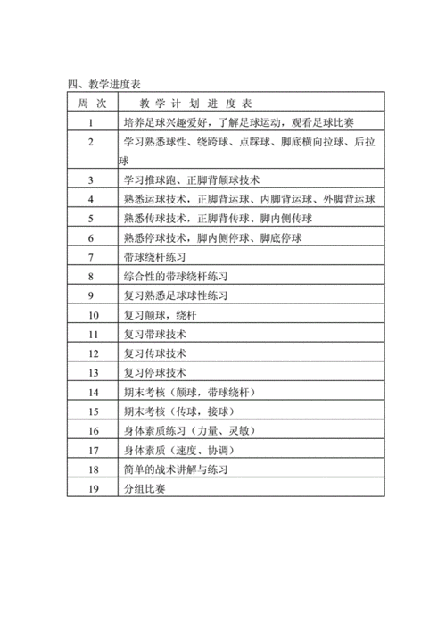 足球课教学工作计划-一节足球课的教学计划模板-第3张图片-马瑞范文网