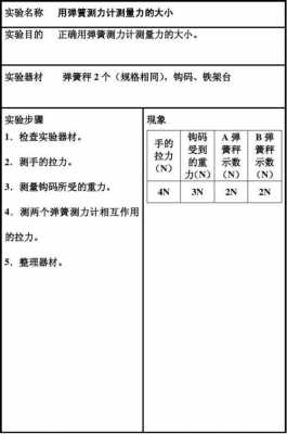 弹簧测力检测报告模板,弹簧测力器材步骤 -第3张图片-马瑞范文网