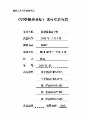 财务分析实训实验报告-第1张图片-马瑞范文网