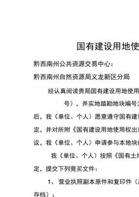  土地竞买申请模板「土地竞买申请书怎么填」-第3张图片-马瑞范文网