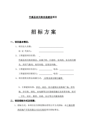 单项目标设计-单项目招标计划编制模板-第2张图片-马瑞范文网