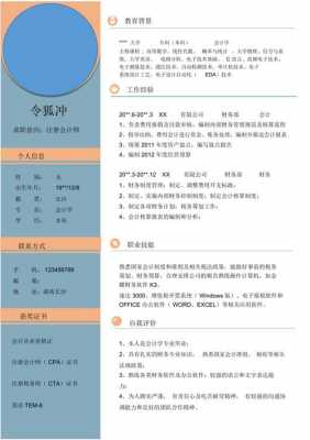 会计职业简历模板（会计简历求职）-第2张图片-马瑞范文网