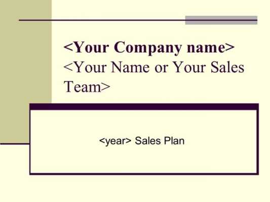 salesplan英文模板（sales plan）-第3张图片-马瑞范文网