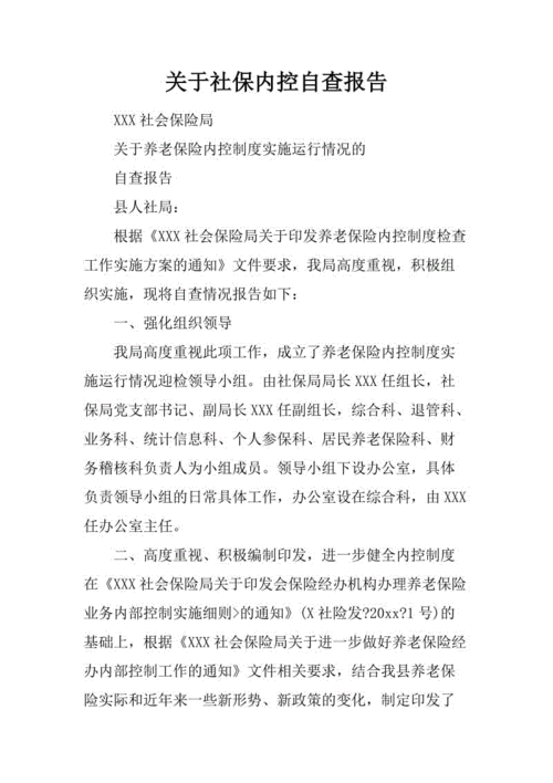  社保自查情况说明模板「社保自查自纠报告怎么写」-第1张图片-马瑞范文网