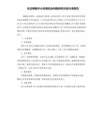  社保自查情况说明模板「社保自查自纠报告怎么写」-第3张图片-马瑞范文网