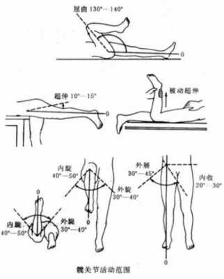 髋关节查体视频-第3张图片-马瑞范文网