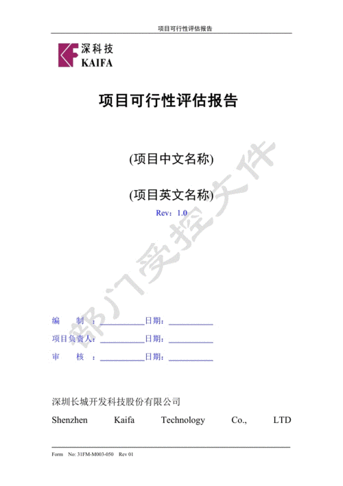 可行性方案评估模板_可行性评估怎么写-第2张图片-马瑞范文网