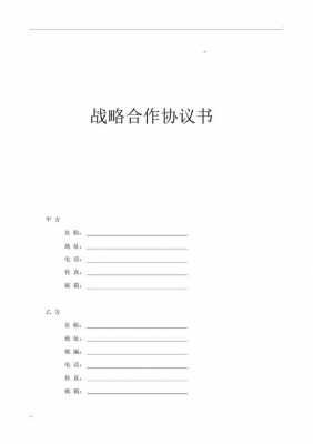 合作方案的模板,合作方案模板范文免费 -第3张图片-马瑞范文网