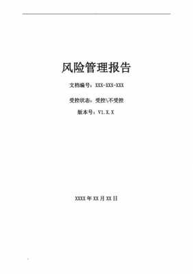 it风险报告模板,简述it风险的类型 -第1张图片-马瑞范文网