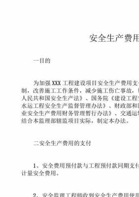  安全生产费审批模板「安全生产费用审查制度」-第1张图片-马瑞范文网