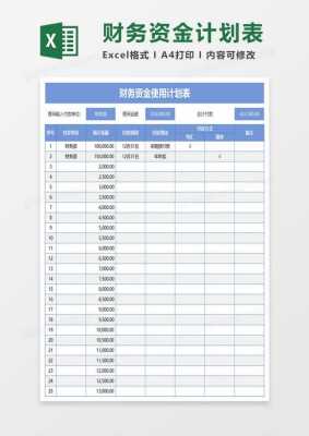 会计资金报表模板_资金报表格式-第2张图片-马瑞范文网