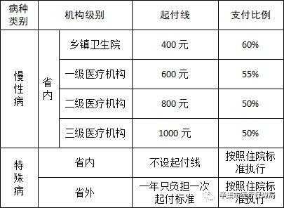  兜底医疗申请书模板「医疗兜底报销需要什么手续」-第3张图片-马瑞范文网