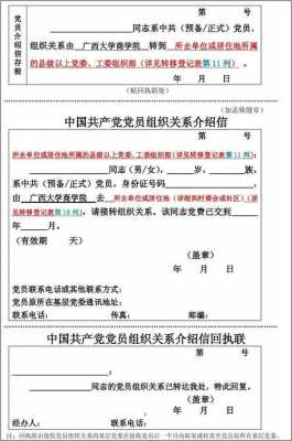 临时党组织关系模板,临时党组织关系模板图片 -第2张图片-马瑞范文网