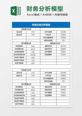 财务分析模板材料,财务分析模板材料怎么做 -第3张图片-马瑞范文网