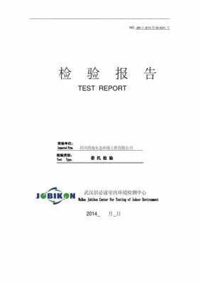 环境检测报告模版 项目环境检测报告模板-第3张图片-马瑞范文网