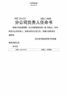 分公司任命书模板,分公司任免书 -第2张图片-马瑞范文网