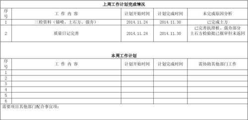 业务周计划模板,业务周总结和计划怎么写 -第2张图片-马瑞范文网