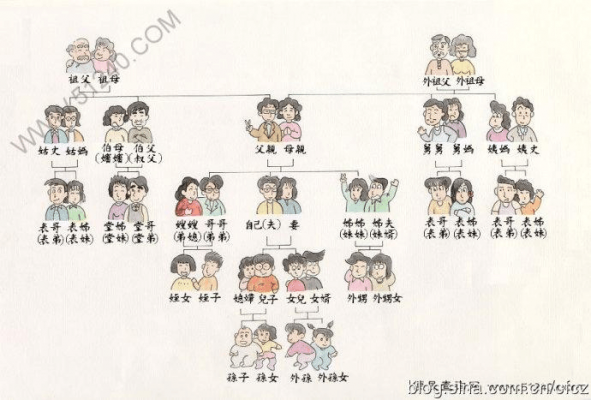 家庭人员管理图模板（家庭人员树状图）-第2张图片-马瑞范文网