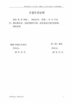 学校教师计生证明模板-第1张图片-马瑞范文网