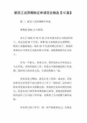 厨师试用期工作总结及转正申请 员工 厨师试用期合同模板-第2张图片-马瑞范文网