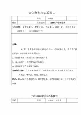 科学实验报告模板下载（科学实验报告模板下载手机版）-第3张图片-马瑞范文网