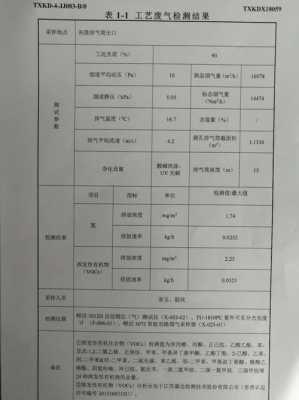 废气监测报告模板-第2张图片-马瑞范文网