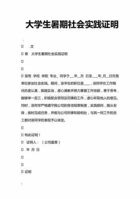 暑期社会实践证明模板附表-暑期社会实践证明模板-第3张图片-马瑞范文网