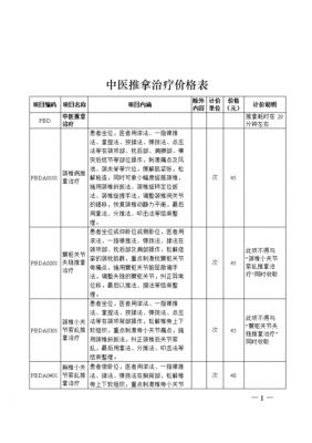 中医理疗收费标准模板-第2张图片-马瑞范文网