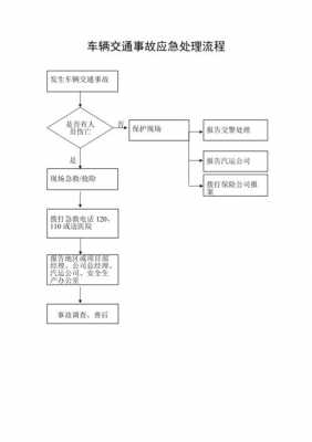 交警工作预案模板（交通警卫工作预案）-第3张图片-马瑞范文网