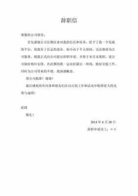  国有公司辞职报告书模板「国有公司辞职报告书模板下载」-第3张图片-马瑞范文网