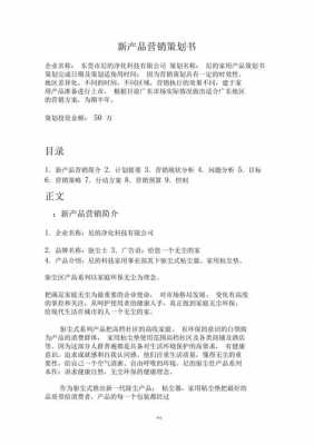 企业方案模板_产品方案模板范文-第2张图片-马瑞范文网