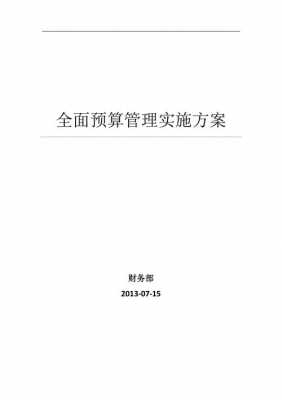  预算项目执行方案模板「预算项目实施方案」-第2张图片-马瑞范文网