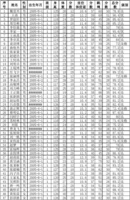 一年级体测数据表-一年级体侧模板数据-第3张图片-马瑞范文网