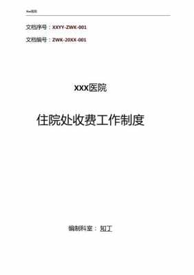 医院收费工作制度 收费医方案模板-第2张图片-马瑞范文网