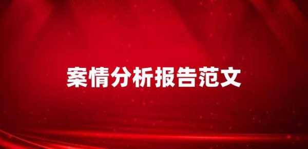 案情分析报告模板_案情分析报告模板合集-第3张图片-马瑞范文网