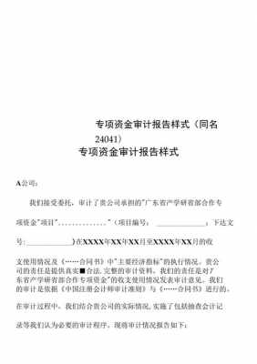 专项资金申请审计模板_专项资金项目申请报告-第3张图片-马瑞范文网