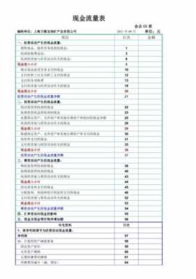 合并现金流量表模板下载-合并现金流量表模板-第3张图片-马瑞范文网