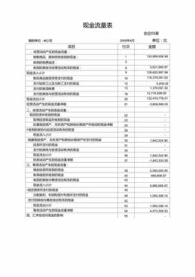 合并现金流量表模板下载-合并现金流量表模板-第1张图片-马瑞范文网