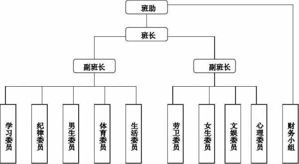 班委会的组织结构与职责是什么-班委组织机构图模板-第2张图片-马瑞范文网