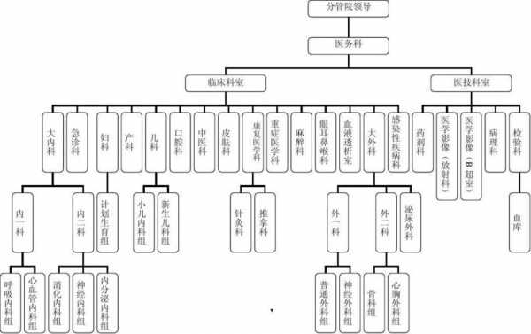 医院内部控制实施方案 医院内部控制模板-第3张图片-马瑞范文网