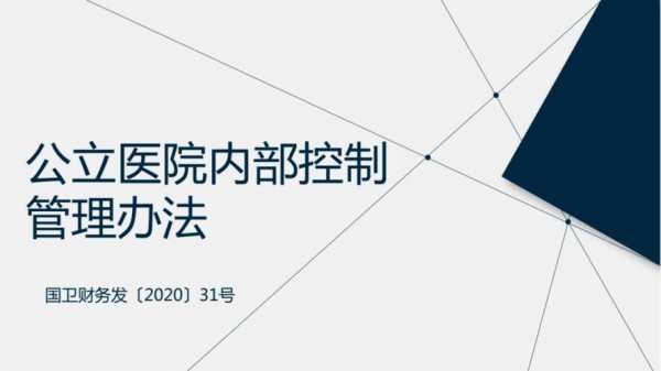 医院内部控制实施方案 医院内部控制模板-第2张图片-马瑞范文网