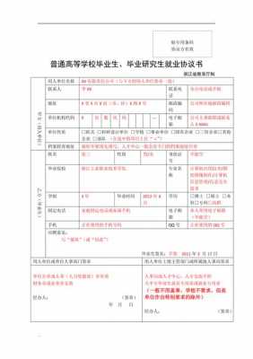  就业协议反正面模板「就业协议书范本格式」-第1张图片-马瑞范文网