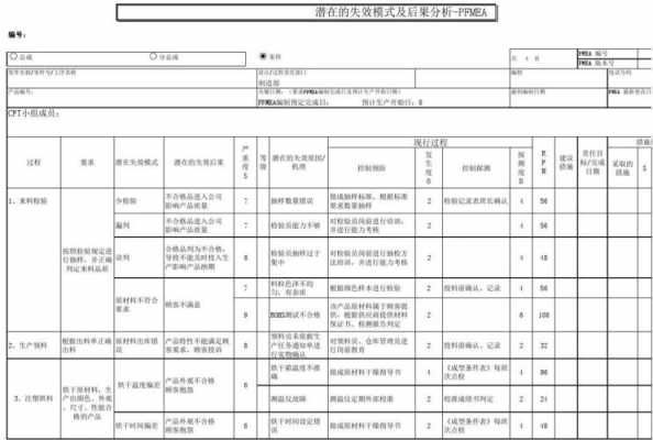 pfmea标准模板（pfmea报告中应包括哪些内容）-第2张图片-马瑞范文网