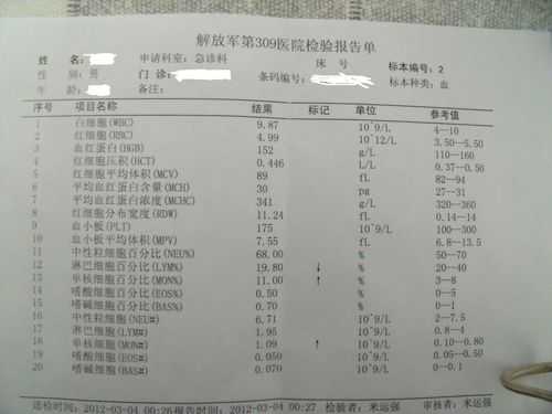 血液检验单图片-血液检验单模板-第2张图片-马瑞范文网