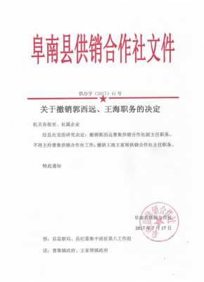 撤销行政职务模板_行政撤销职务后的行政级别-第3张图片-马瑞范文网