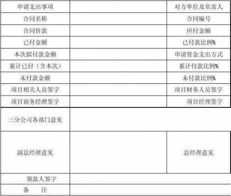 支出专项审计模板_支出审批单模板-第3张图片-马瑞范文网