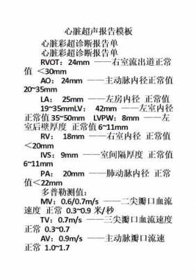 关于超生剖析报告模板怎么写 关于超生剖析报告模板-第2张图片-马瑞范文网