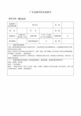 银行会计实验小结 银行会计实验报告模板-第1张图片-马瑞范文网